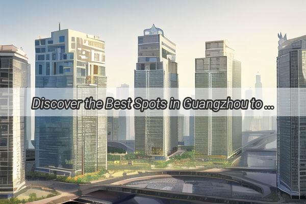 Discover the Best Spots in Guangzhou to Find a Shared Bike Your Ultimate Guide